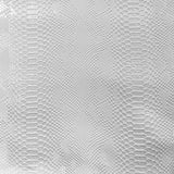 Faux Snake Skin Vinyl Fabric Viper Sopythana