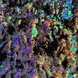Hologram Polyester Spandex Fabric Black Silver 60"