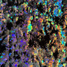 Hologram Polyester Spandex Fabric Black Silver 60"