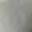 Polyester Spandex Fabric Foggy Foil 60" White Clear