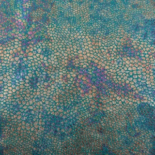 Nylon Spandex Rainbow Snake Foil Fabric
