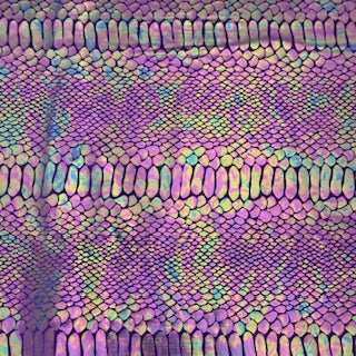 Stretch Velvet Fabric Snake Foil 60"