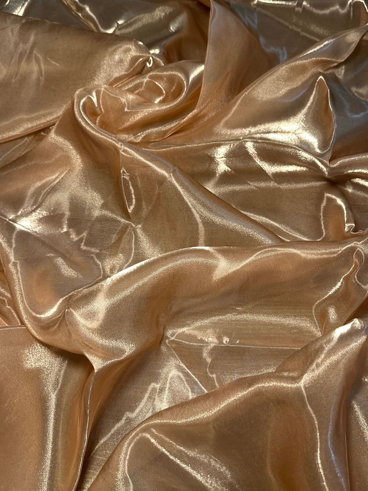 Liquid Shimmery Organza