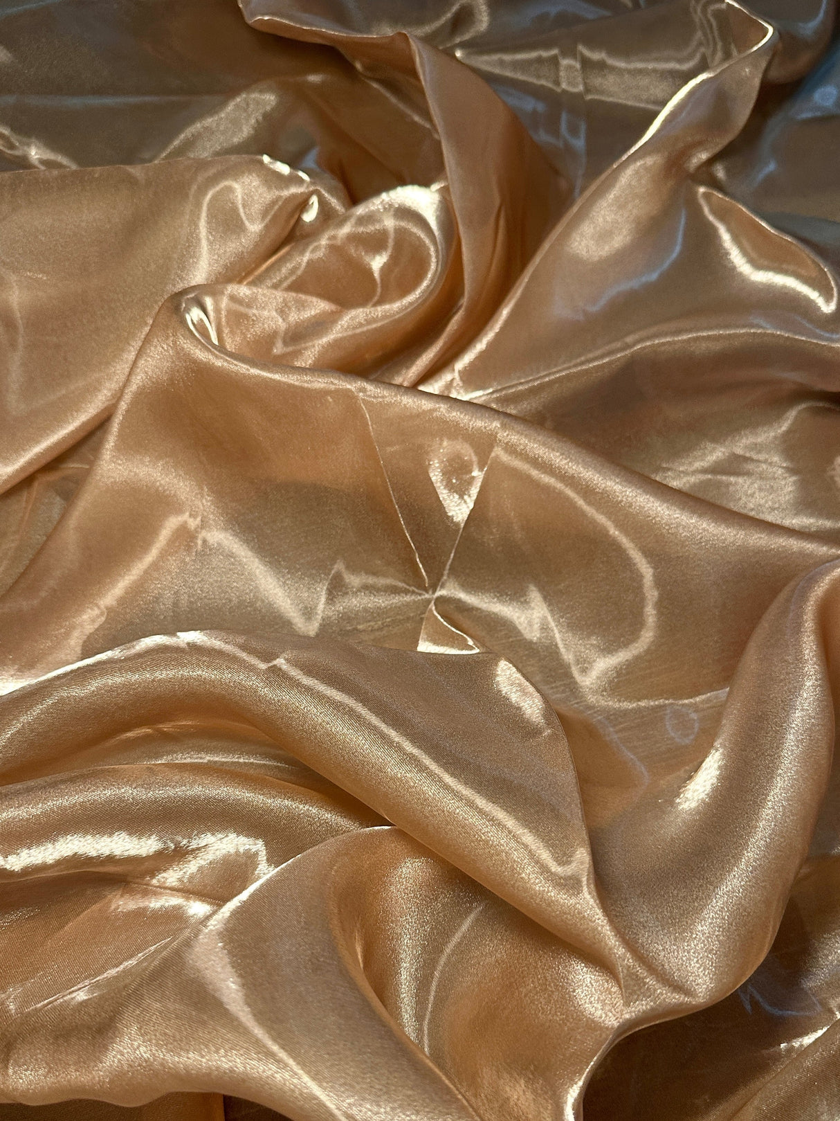 Liquid Shimmery Organza