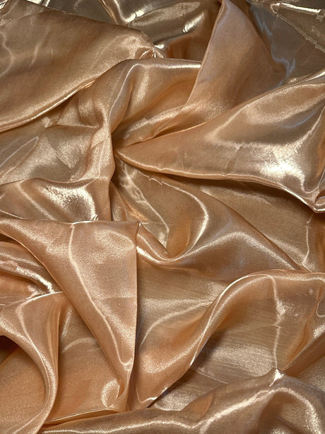Liquid Shimmery Organza