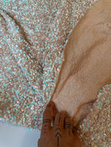 Champagne Iridescent Sequin on Velvet