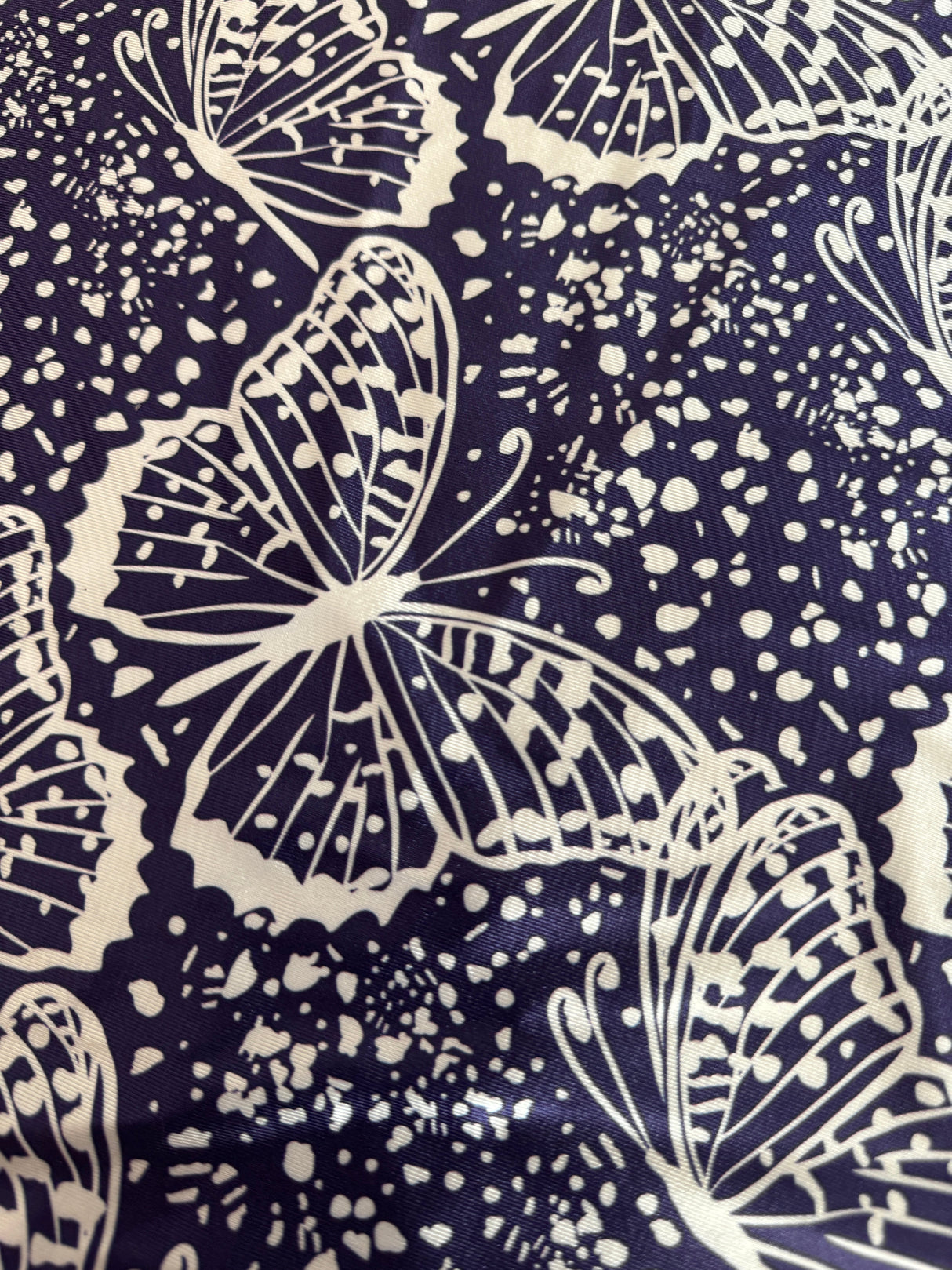 Printed Nylon Spandex Navy Butterfly