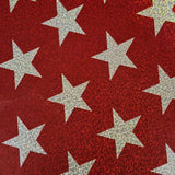 Hologram Spandex Fabric American Star Foggy 4-Way Stretch 60"