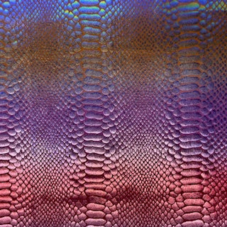 Nylon Spandex Rainbow Snake Hologram Fabric 60"
