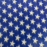 Star Print Spandex Mesh 4-Way Stretch 60"