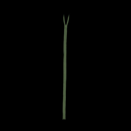 Invisible Zipper 24" by YKK - 528 Fluorite Green