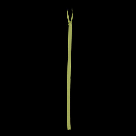 Invisible Zipper 24" by YKK - 875 Bright Chartreuse
