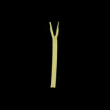 Invisible Zipper 9" by YKK - 503 Pale Yellow