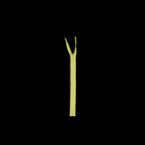 Invisible Zipper 9" by YKK - 803 Lemonade