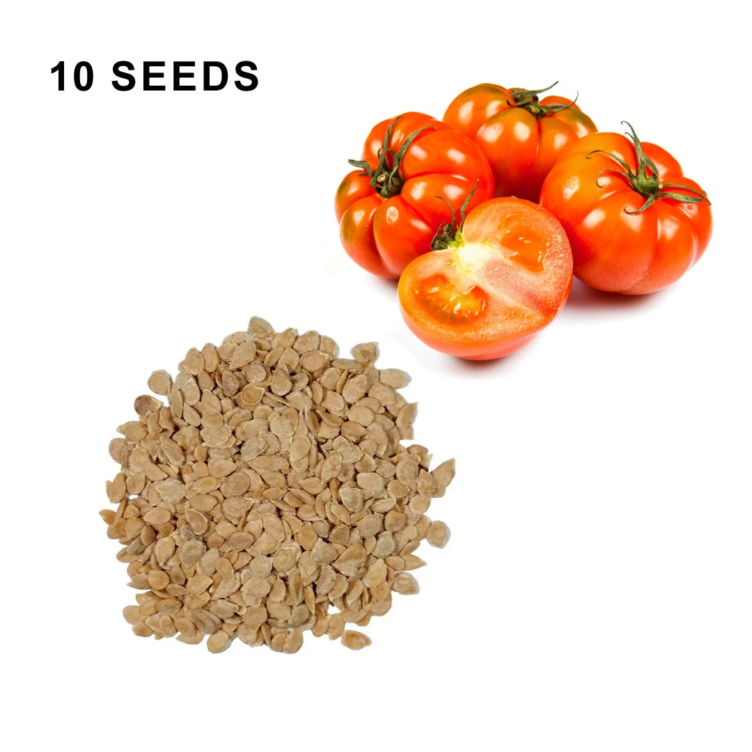Beefsteak Determinate Tomato Seeds Heirloom Organic High Yield Garden Variety