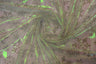 Glitter Snowflake Organza Polyester Fabric - Iridescent Sheer Christmas Snowflake, 58/60" Width (1 Yard)