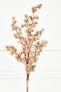 27" Beaded Iced Berry Spray - Champagne