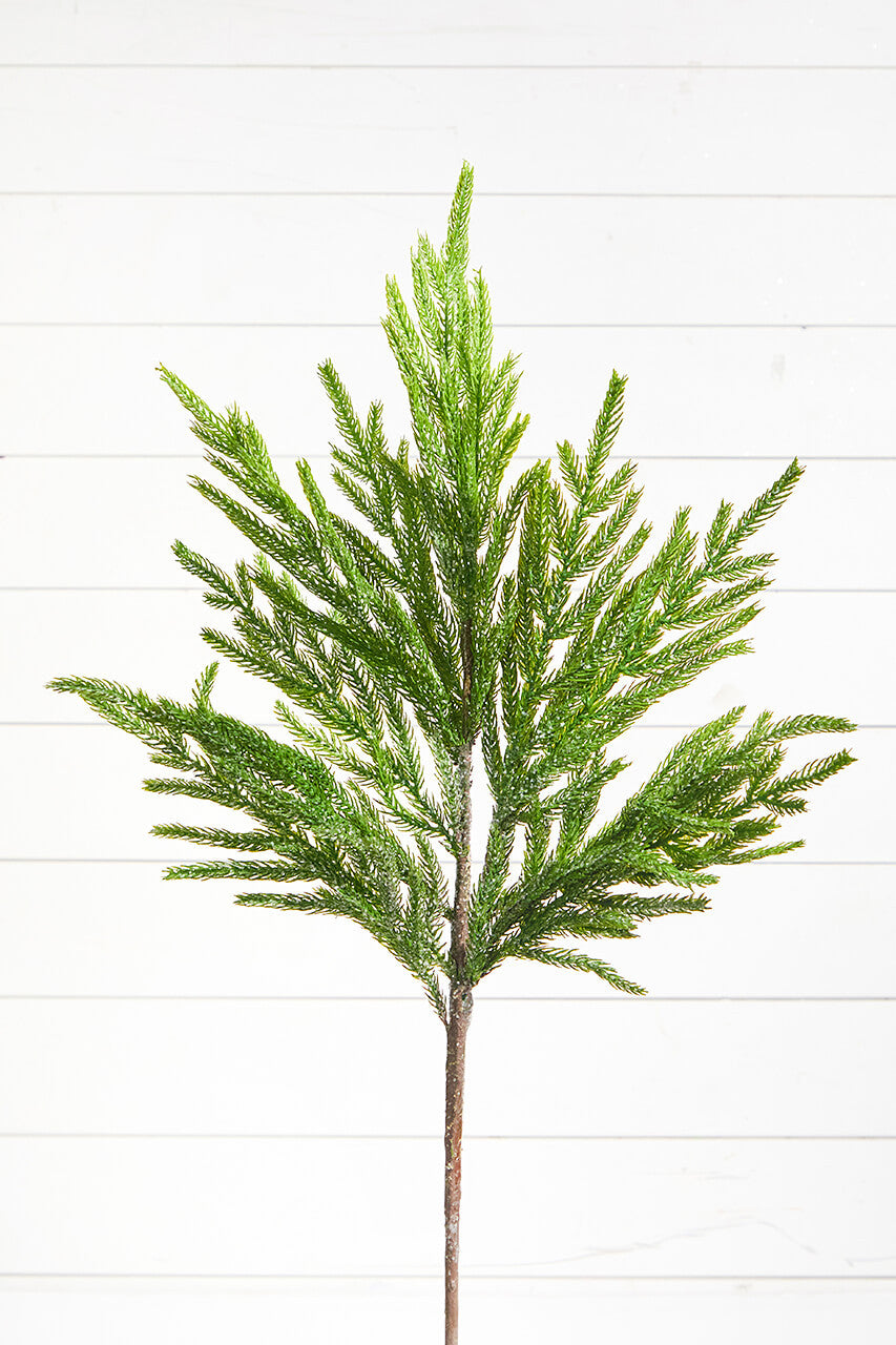 Iced Norfolk Pine Branch 30 Inch Snowy Christmas Greenery Spray