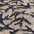 In Flight Polyester Mesh Embroidered Sequins Fabric - Gold/Navy, 57/58" Width, 230 GSM (1 Yard)