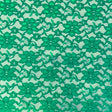 Kelly Green Raschel Lace Fabric,
