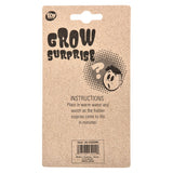 Grow Surprise Dinosaur & Animal Shapes (1 DZ)