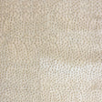 Jordana Embroidered Dotted Velvet Fabric - Ivory, Pewter, Ocean, Peacock, 55" Width (1 Yard)