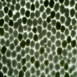 Animal Skin Cut Velvet Upholstery Fabric