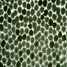 Animal Skin Cut Velvet Upholstery Fabric