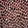 Animal Skin Cut Velvet Upholstery Fabric