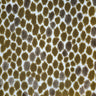 Animal Skin Cut Velvet Upholstery Fabric