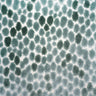 Animal Skin Cut Velvet Upholstery Fabric