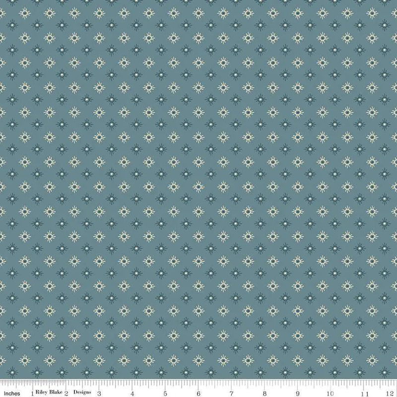 Cotton Print John Wayne American West Sun Denim Fabric