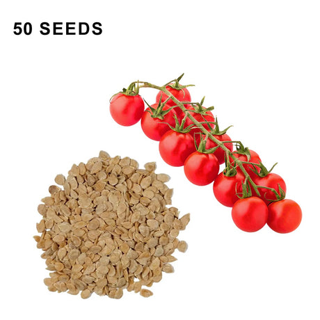 Super Sweet 100 Tomato Seeds Sweet Cherry Tomatoes High Yield Disease Resistant Non GMO Garden Seeds