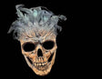Raven Feathered Skull - Half Mask