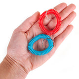 Spiral Keychain (1 DZ)