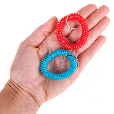 Spiral Keychain (1 DZ)