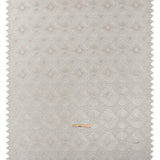 Metallic Raschel Lace Panel with Finished Edges - Sandstone Gray and Silver Sun Ray Ogees