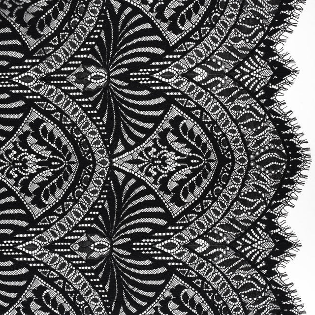 Luminous Raschel Lace Panel with Finished Edges - Black Fancy Floral Scallops