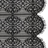 Corded Lace with Fringed and Scalloped Edges - Black Vine Stripes