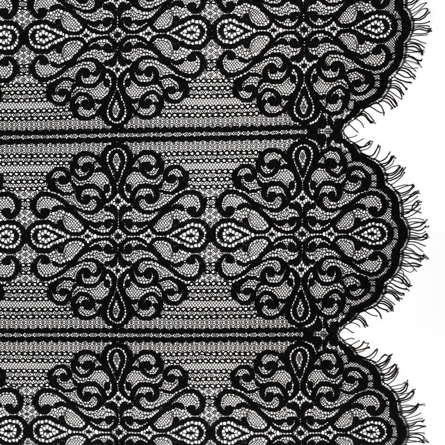 Corded Lace with Fringed and Scalloped Edges - Black Vine Stripes