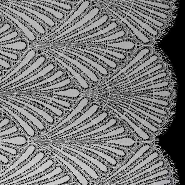 Corded Raschel Lace Panel with Finished Edges - Ivory Fan Palm Scallops
