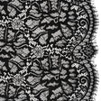 Corded Raschel Lace Panel with Finished Edges - Black All-Over Flowers and Leaves