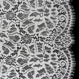 Corded Raschel Lace Panel with Finished Edges - Ivory All-Over Flowers and Leaves