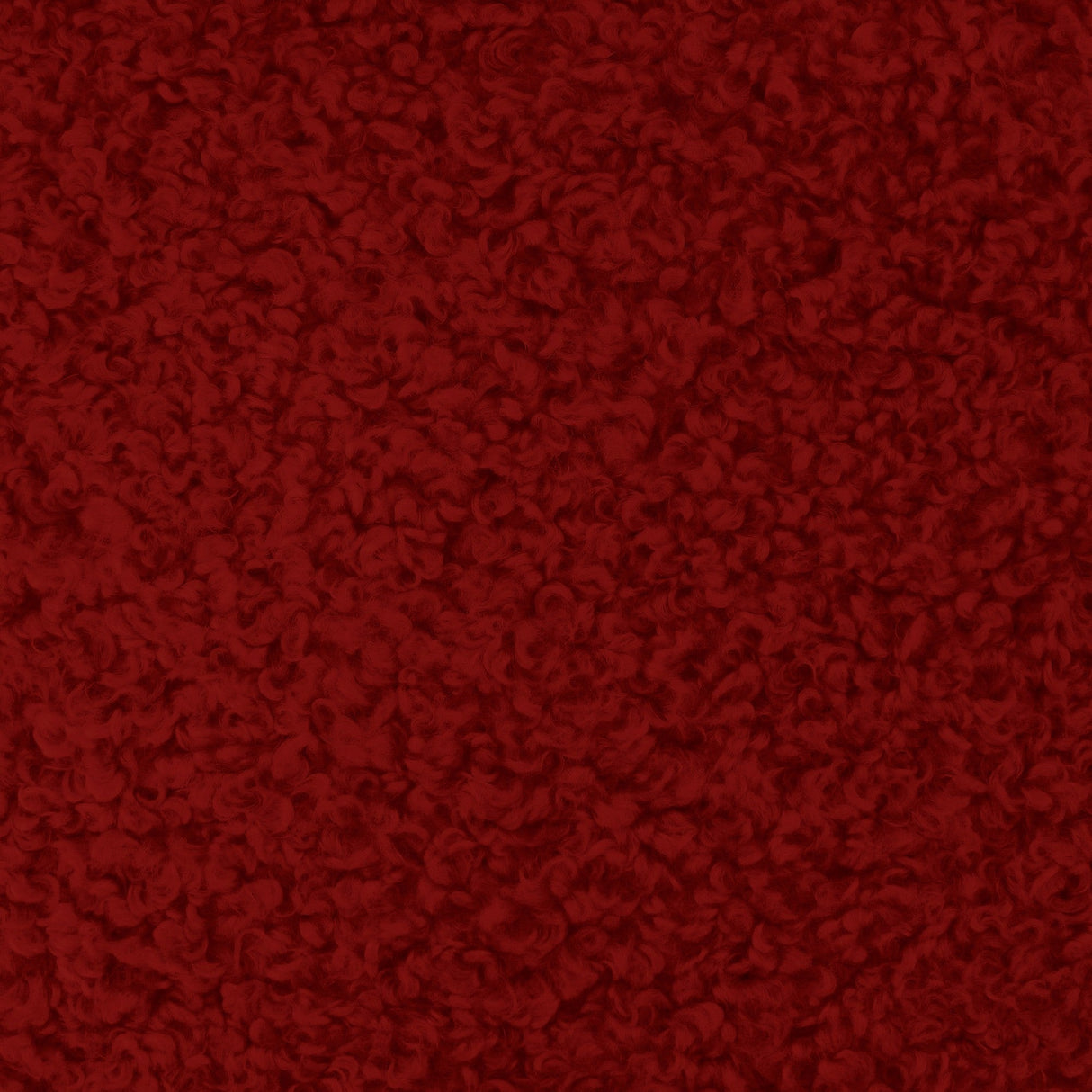 Kova Sherpa Boucle Polyester Fabric - Teddy Sherpa Textured, 58" Width (1 Yard)