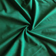 Cotton Lycra Jersey Knit Fabric Kelly Green