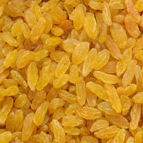 Raisin Golden
