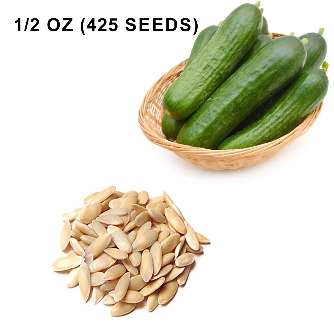 Muncher Cucumber Seeds Heirloom Organic High Yield Crisp and Tasty Garden Variety