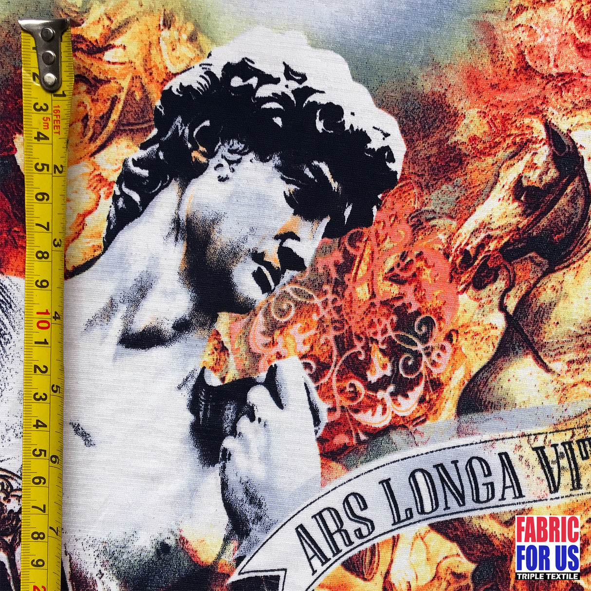 Ars Longa Vita Brevis Rome Print Design Stretch Fabric - Roman Print, 58" Width