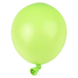 Dart Balloon 6" (144 Pc Bag)
