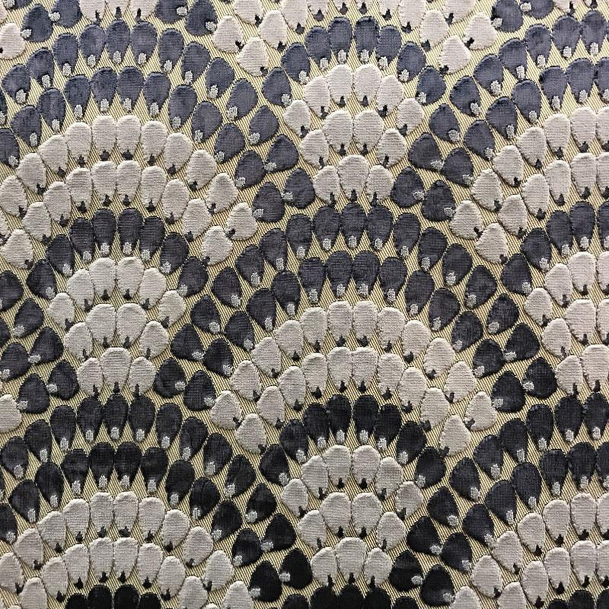 Lennix Cut Velvet Fabric - Scallop Multi-Colored, 55" Width (1 Yard)